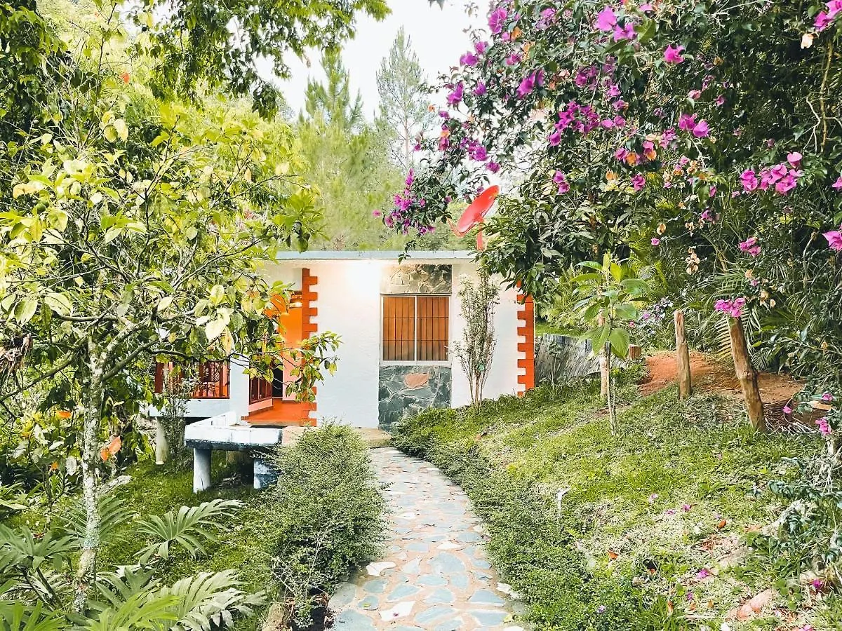 Casa Del Arroyo 2-Bedroom Cottage Fireplace And Bbq 자라바코아
